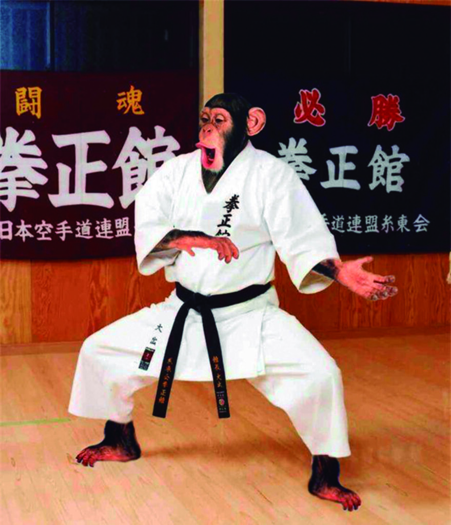 karate mono