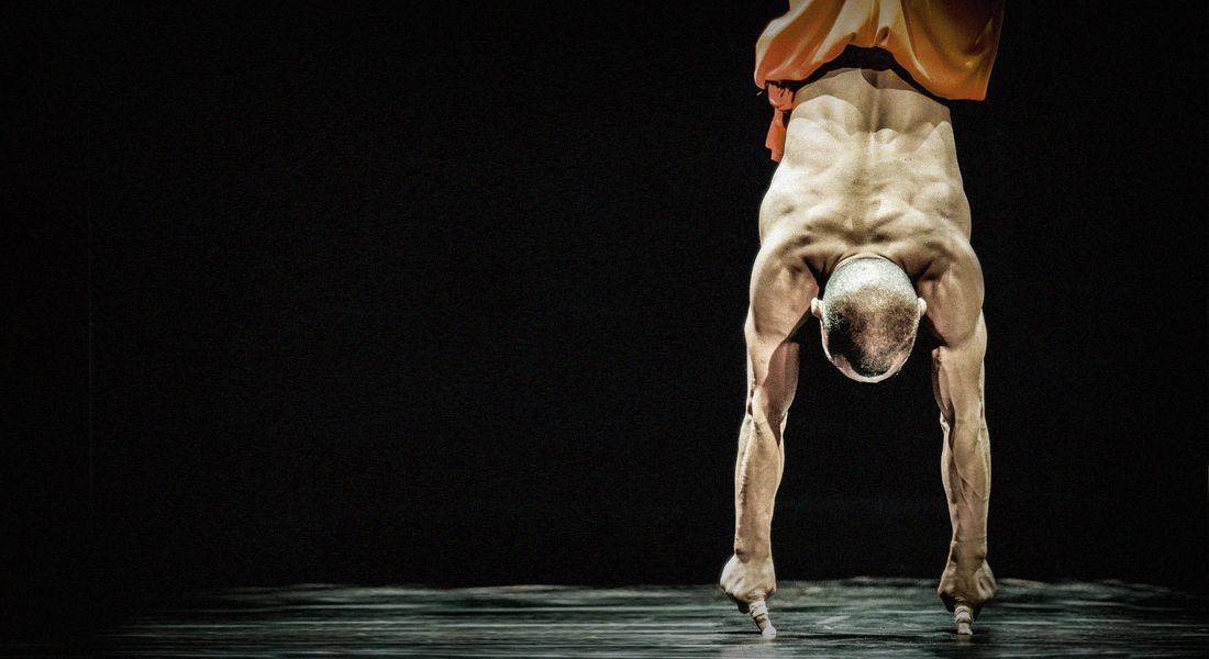 Shaolin Temple Spain