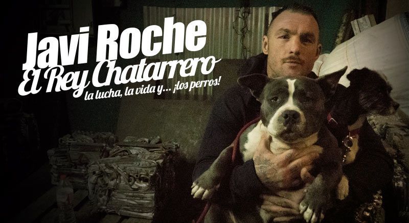 rey chatarrero