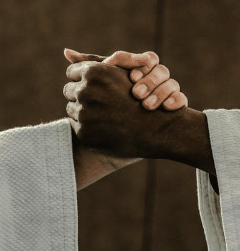 Grandes maestros del judo europeos